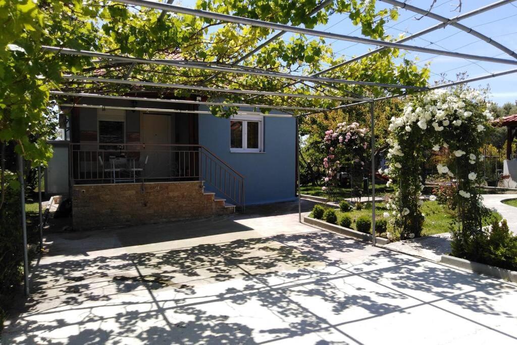 Villa Viktoria Halkidiki Nea Silata Εξωτερικό φωτογραφία