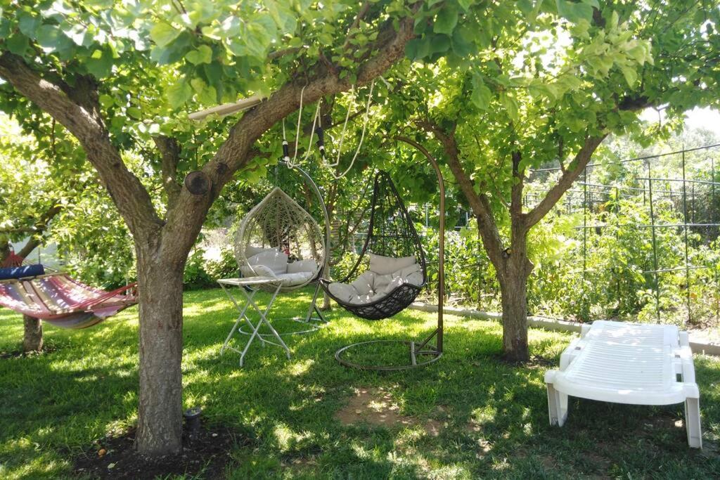 Villa Viktoria Halkidiki Nea Silata Εξωτερικό φωτογραφία