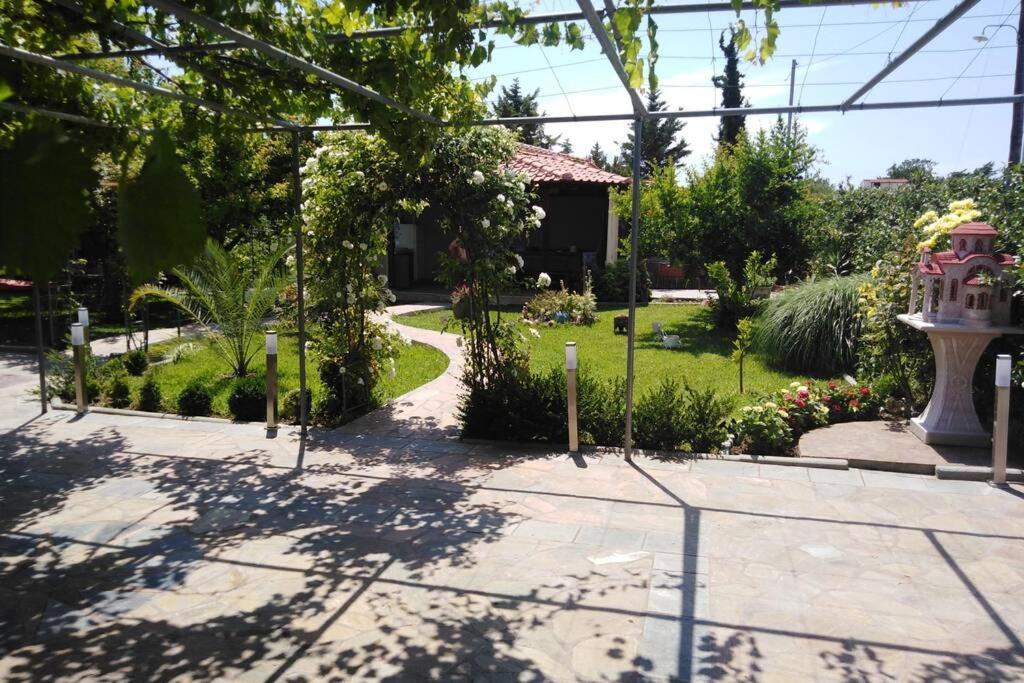 Villa Viktoria Halkidiki Nea Silata Εξωτερικό φωτογραφία