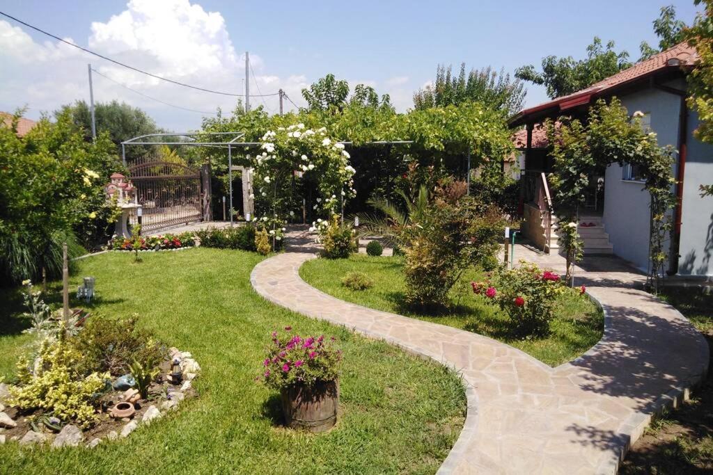 Villa Viktoria Halkidiki Nea Silata Εξωτερικό φωτογραφία